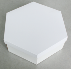 Белая шестигранная коробка 25*25*10 - фото