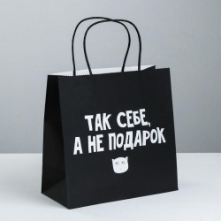 Пакет подарочный «Так себе, а не подарок», 22 × 22 × 11 см - фото