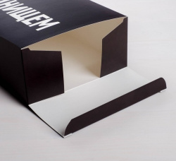 Коробка складная «С Днищем», 16 × 23 × 7.5 см - фото