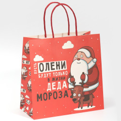 Пакет подарочный «Дед мороз», 22 × 22 × 11 см - фото