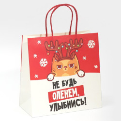 Пакет подарочный «Не будь оленем», 22 × 22 × 11 см - фото